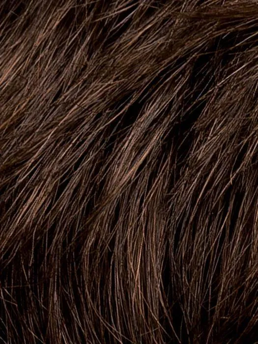 Champagne Hairpiece by Ellen Wille | Heat Friendly Synthetic Hairpiece